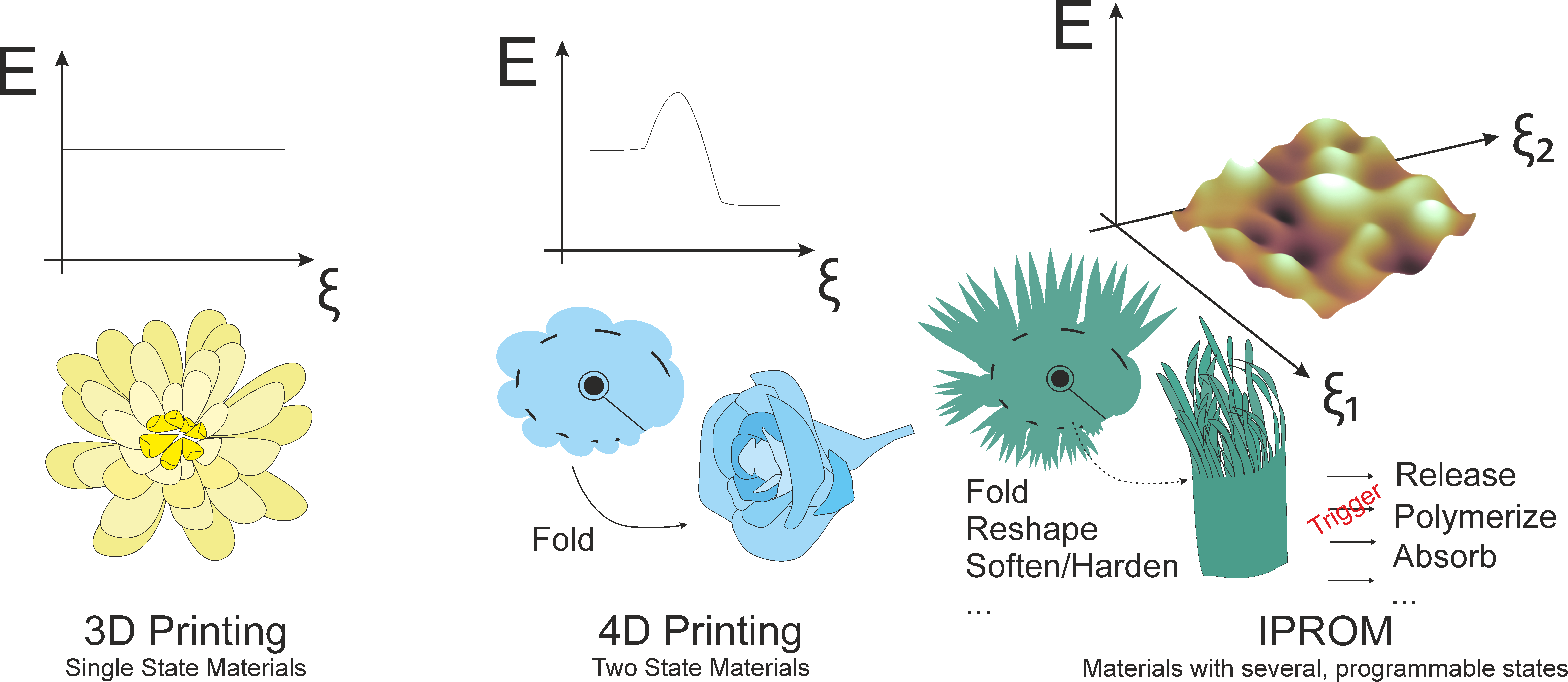 Scheme 3D4DIPROM