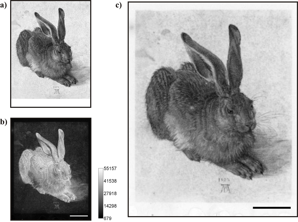 Rabbit FromBitmapToProteinBitmapDetail klein